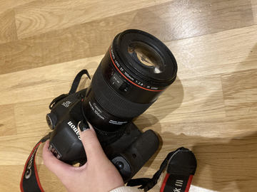 Canon EF 100mm f/2.8L IS USM Macro
