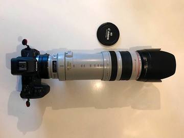 Canon EOS R5 + Canon 100 - 400 / 70 - 200